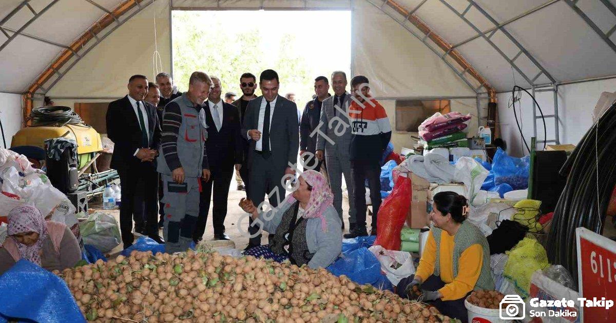 "Dinar’da ceviz zamanı: Üretici bu yıl rekolteden memnun" başlıklı haber için fotorealistik, profesy