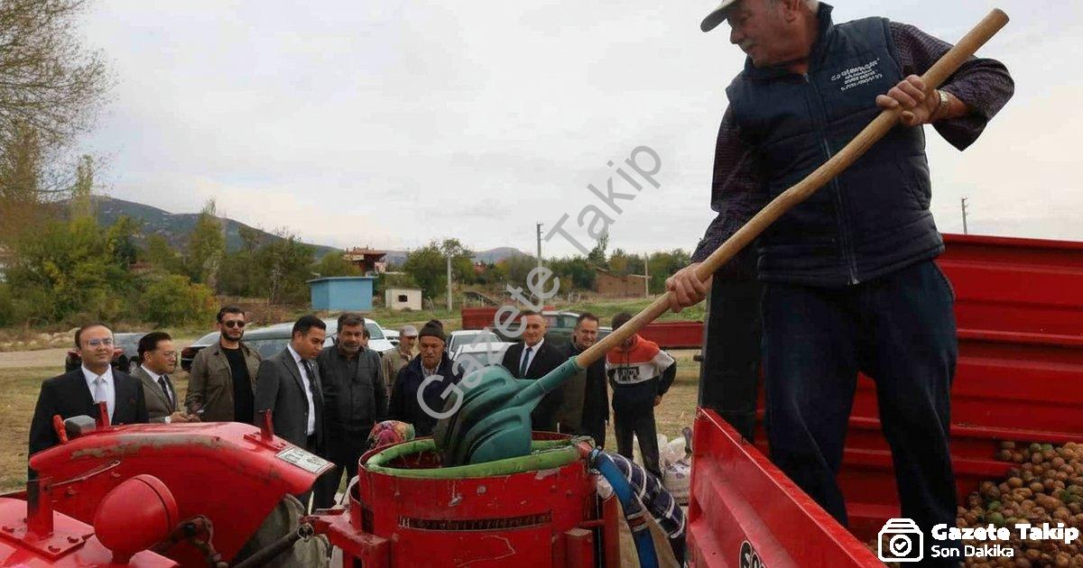 AFYONKARAHİSAR'IN DİNAR İLÇESİNDE CEVİZ HASADI BAŞLARKEN, REKOLTENİN BU YIL ÇİFTÇİLERİ MEMNUN ETTİĞİ BELİRTİLDİ.