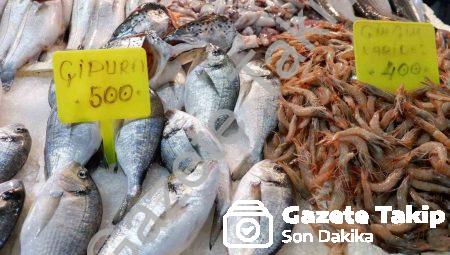 Foça Balık Hali’nde Kış Bereketi: İşte Mevsimin Gözde Balıkları ve Fiyatlar