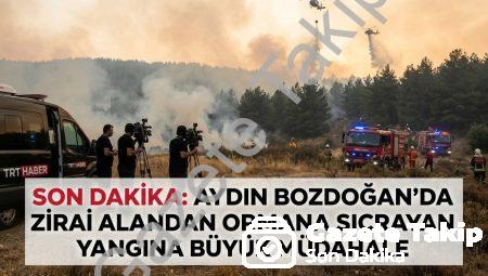 Aydın Bozdoğan’da Zirai Alandan Ormana Sıçrayan Yangına Büyük Müdahale