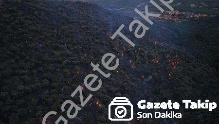 Aydın Bozdoğan’daki Orman Yangını Büyük Ölçüde Kontrol Altına Alındı