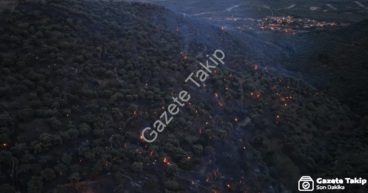"Aydın Bozdoğan'daki Orman Yangını Büyük Ölçüde Kontrol Altına Alındı" başlıklı haber için fotoreali