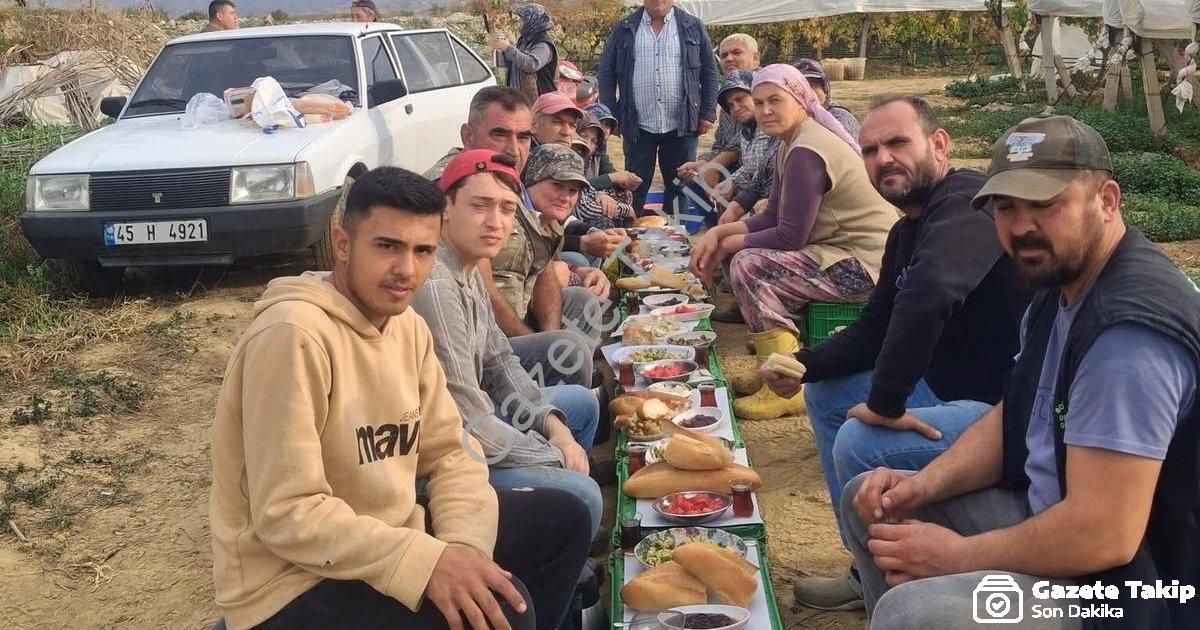 "Sarıgöllü Tüccardan İşçilerine Vefa: Bağ Bozumu Sofrası Kuruldu" başlıklı haber için fotorealistik,