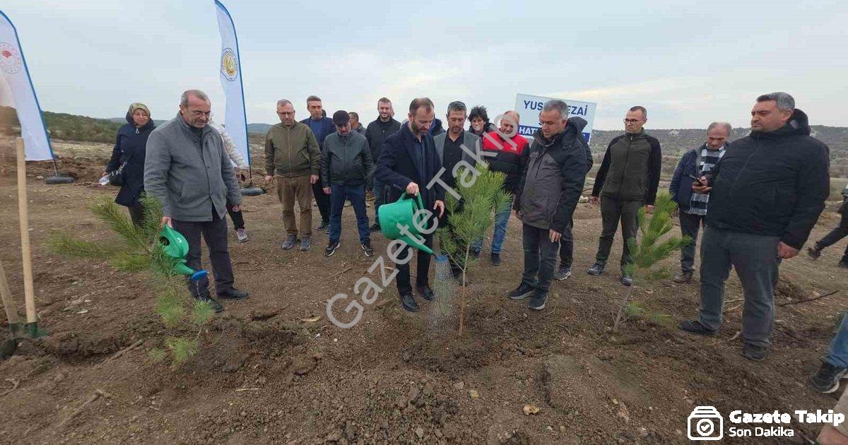 "Kütahya'da Yusuf Sezai Sevil Anısına Vefa Ormanı Kuruldu" başlıklı haber için fotorealistik, profes