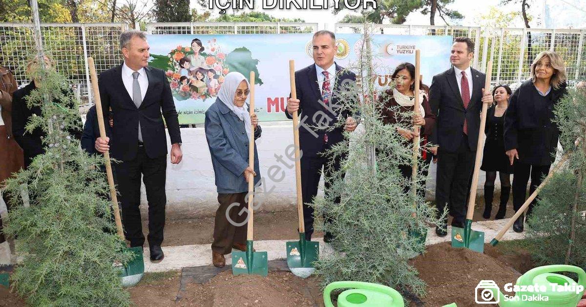 "Muğla'da 16 Bin 453 Fidan Öğretmenler İçin Dikiliyor" başlıklı haber için fotorealistik, profesyone