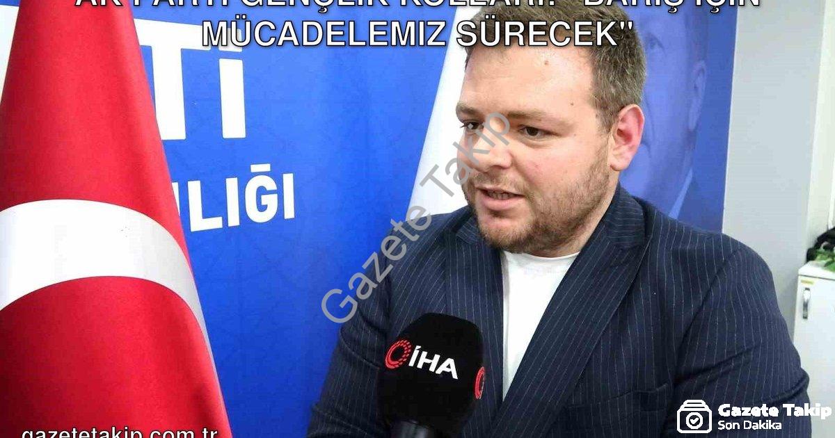 "AK Parti Gençlik Kolları: "Barış İçin Mücadelemiz Sürecek"" başlıklı haber için fotorealistik, prof