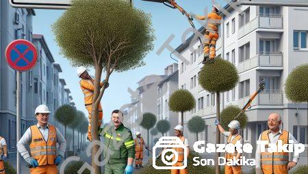 Afyonkarahisar Belediyesi’nden Cumhuriyet Mahallesi’nde ağaç budaması