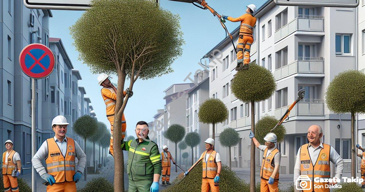 "Afyonkarahisar Belediyesi’nden Cumhuriyet Mahallesi’nde ağaç budaması" başlıklı haber için fotoreal