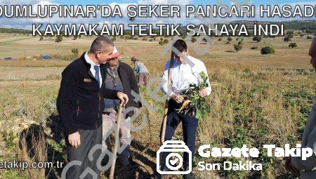 Dumlupınar’da Şeker Pancarı Hasadı: Kaymakam Teltik Sahaya İndi