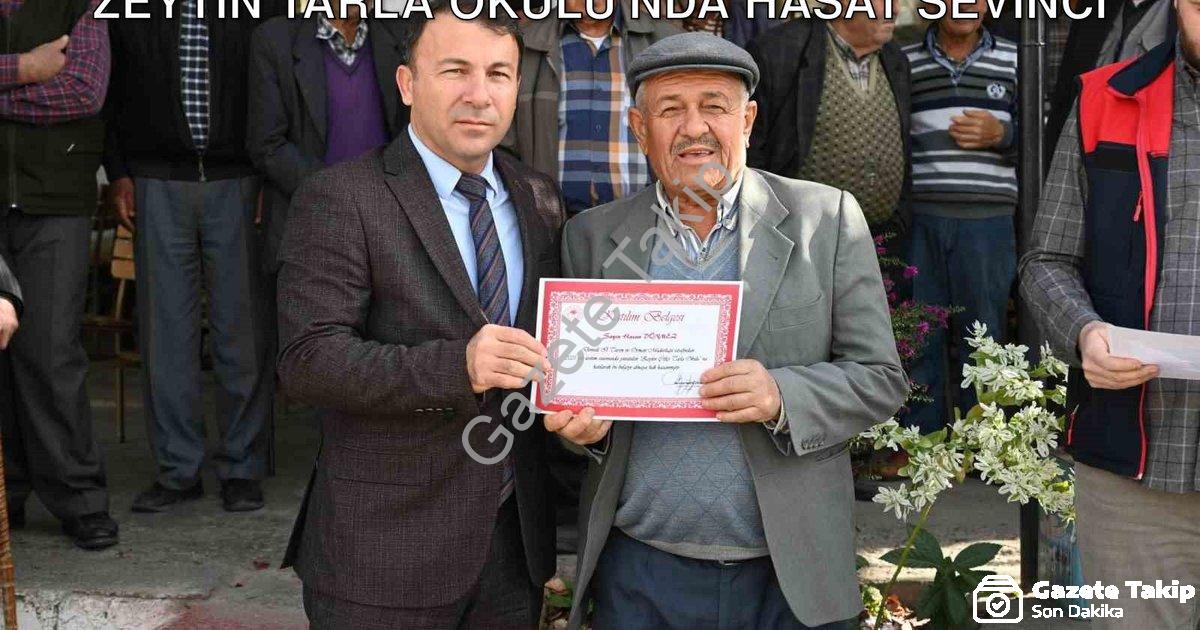 "Tavas'ta Üreticiye Bilimsel Destek: Zeytin Tarla Okulu'nda Hasat Sevinci" başlıklı haber için fotor