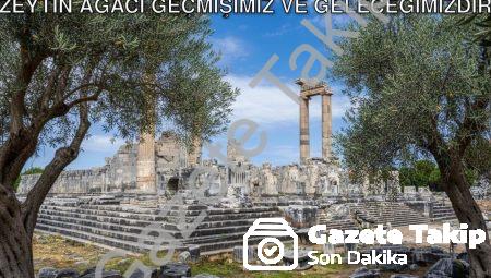 Didim Belediye Başkanı Hatice Gençay: Zeytin Ağacı Geçmişimiz ve Geleceğimizdir