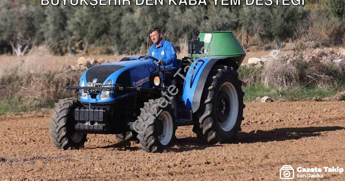"Muğla'da Hayvancılığa Can Suyu: Büyükşehir'den Kaba Yem Desteği" başlıklı haber için fotorealistik,