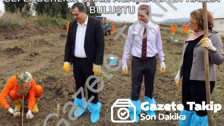 Dalaman Açık Cezaevi’nde Üretim Seferberliği: Sakız Ağaçları Toprakla Buluştu