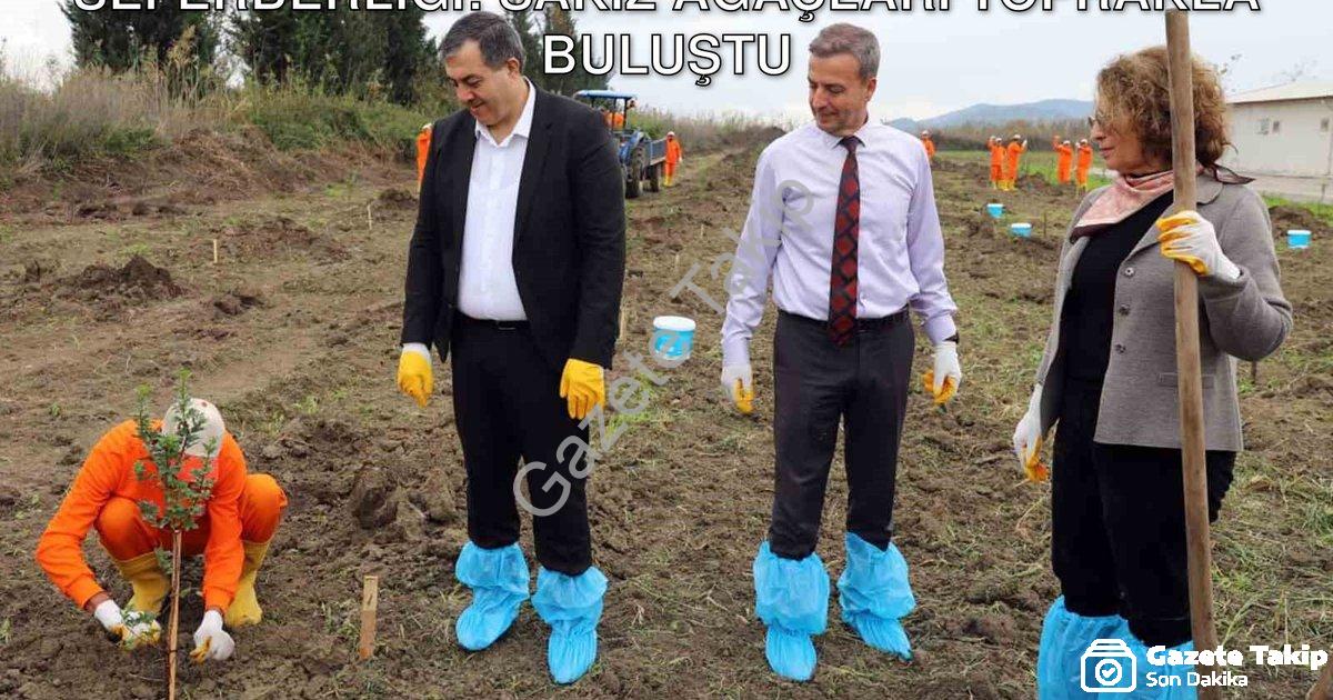 "Dalaman Açık Cezaevi'nde Üretim Seferberliği: Sakız Ağaçları Toprakla Buluştu" başlıklı haber için