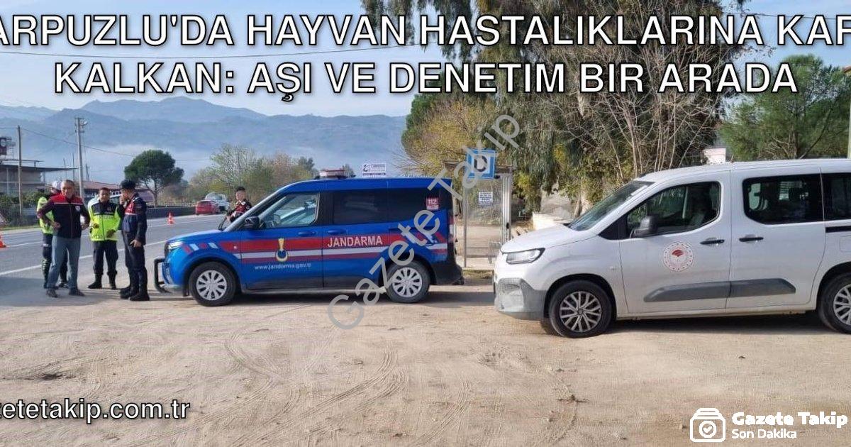 "Karpuzlu'da Hayvan Hastalıklarına Karşı Kalkan: Aşı ve Denetim Bir Arada" başlıklı haber için fotor