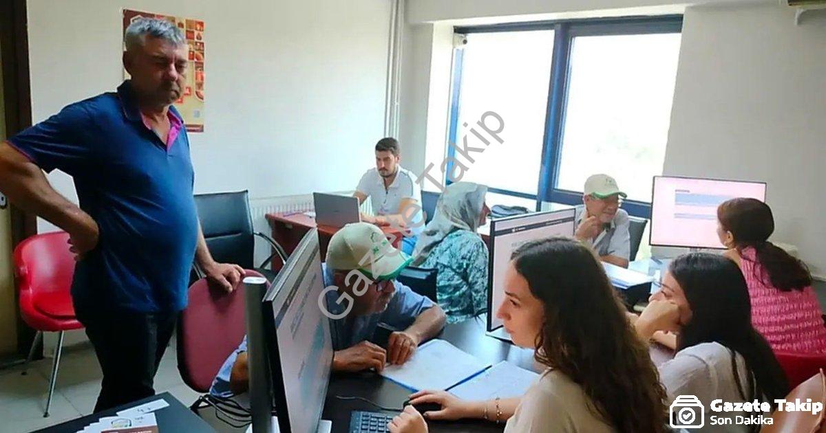 "Söke Ovası Genel Tarım Sayımında Büyük Başarı: Yüzde 90 Tamamlandı" başlıklı haber için fotorealist