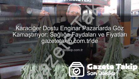 Karaciğer Dostu Enginar Pazarlarda Göz Kamaştırıyor: Sağlığa Faydaları ve Fiyatları gazetetakip.com.tr’de