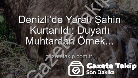 Denizli’de Yaralı Şahin Kurtarıldı: Duyarlı Muhtardan Örnek Davranış