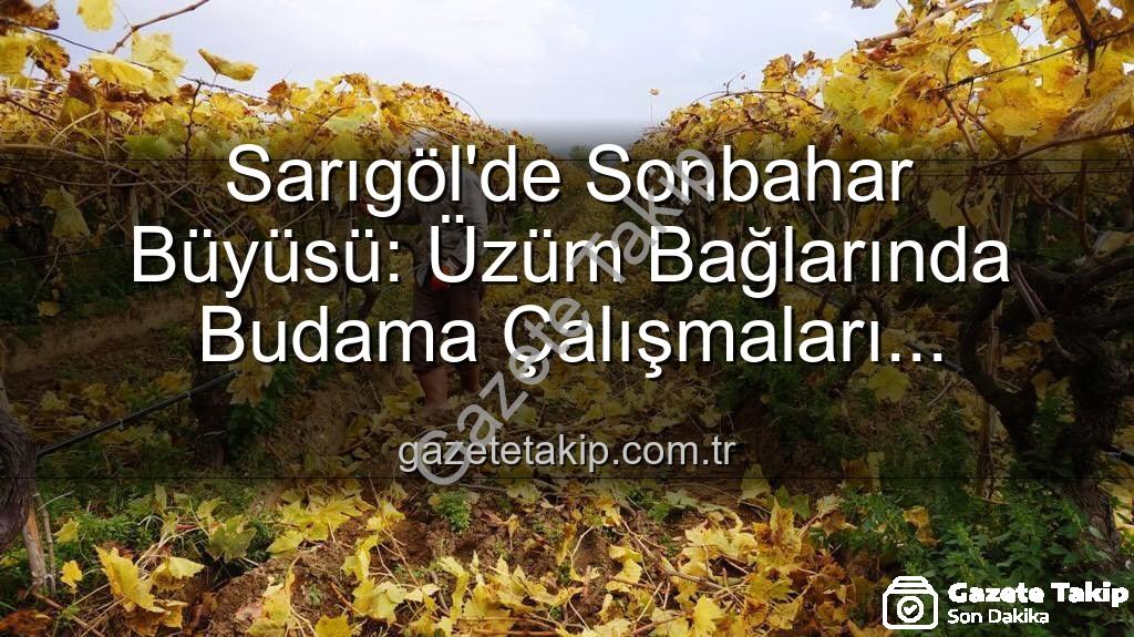 Sarıgöl üzüm bağları - Sarıgöl'de Sonbahar Büyüsü: Üzüm Bağlarında Budama Çalışmaları Kartpostal Manzaralar Eşliğinde Sürüyor