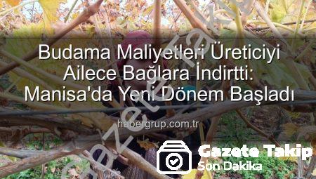 Üzüm Bağlarında Budama Maliyetleri Aile Emeğine Yöneltti: Sarıgöl’de Üreticiler Kendi Çözümlerini Üretiyor
