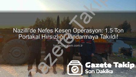 Nazilli’de Dev Portakal Hırsızlığı Jandarmadan Döndü: 1.5 Ton Ürün Ele Geçirildi