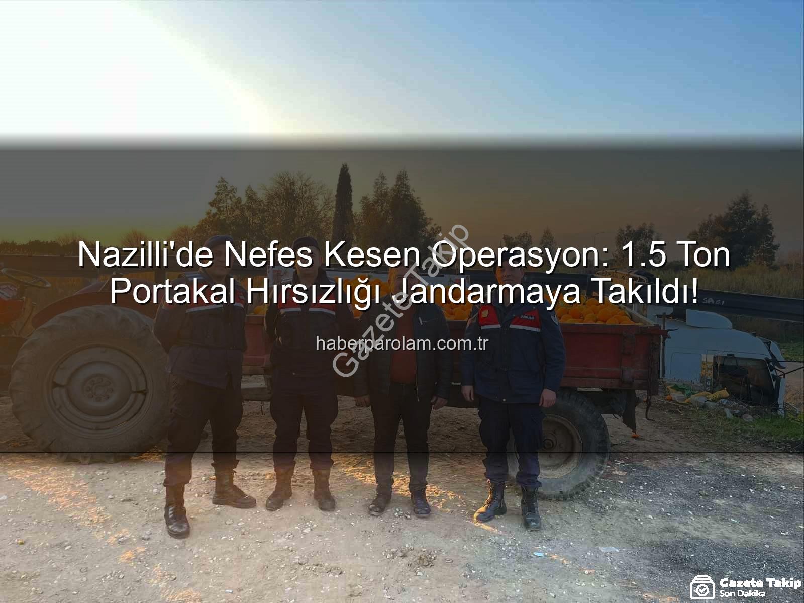 Nazilli'de Dev Portakal Hırsızlığı Jandarmadan Döndü: 1.5 Ton Ürün Ele Geçirildi