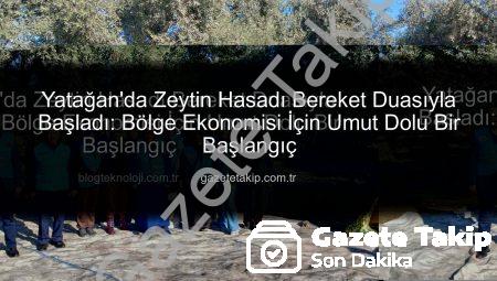 Yatağan’da Zeytin Hasadı Bereket Duasıyla Başladı: Bölge Ekonomisi İçin Umut Dolu Bir Başlangıç