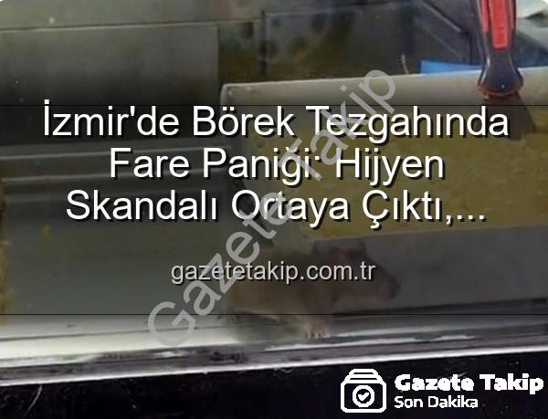 börek tezgahında fare - İzmir'de Börek Tezgahında Fare Paniği: Hijyen Skandalı Ortaya Çıktı, İşletme Mühürlendi