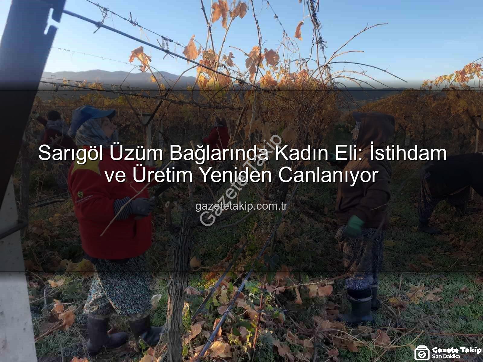 kadın istihdamı - Sarıgöl Üzüm Bağlarında Kadın Eli: İstihdam ve Üretim Yeniden Canlanıyor