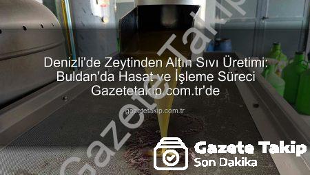Denizli’de Zeytinden Altın Sıvı Üretimi: Buldan’da Hasat ve İşleme Süreci Gazetetakip.com.tr’de