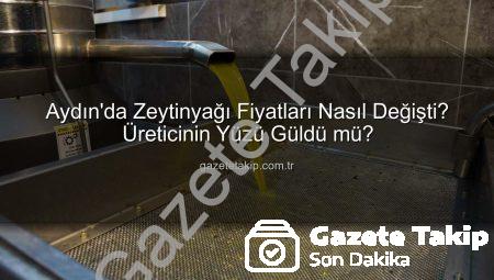 Aydın’da Zeytinyağı Fiyatları Nasıl Değişti? Üreticinin Yüzü Güldü mü?