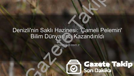 Denizli’nin Saklı Hazinesi: ‘Çameli Pelemiri’ Bilim Dünyasına Kazandırıldı