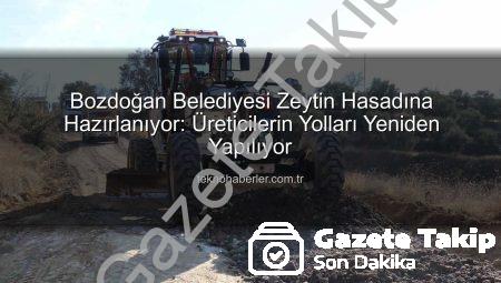 Bozdoğan’da Zeytin Sezonu Öncesi Yol Seferberliği: Üreticinin Yolları Yeniden Yapılıyor