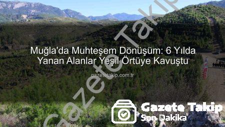 Muğla’da Muhteşem Dönüşüm: 6 Yılda Yanan Alanlar Yeşil Örtüye Kavuştu