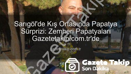 Sarıgöl’de Kış Ortasında Papatya Sürprizi: Zemheri Papatyaları Gazetetakip.com.tr’de